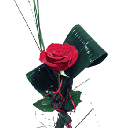 Первое свидание - 1 роза | Сервис доставки букетов в Украине.