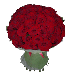 Flowers delivery service to Ukraine | Bouquet of 51 red roses.