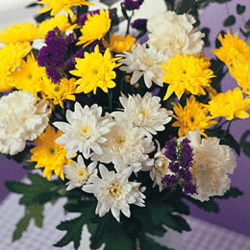 Доставить букет желтых и белых хризантем | Флористы и курьеры на Украине.
