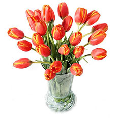 Same day delivery tulips all over Ukraine | $47